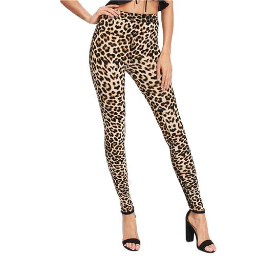 Leopard Print Leggings