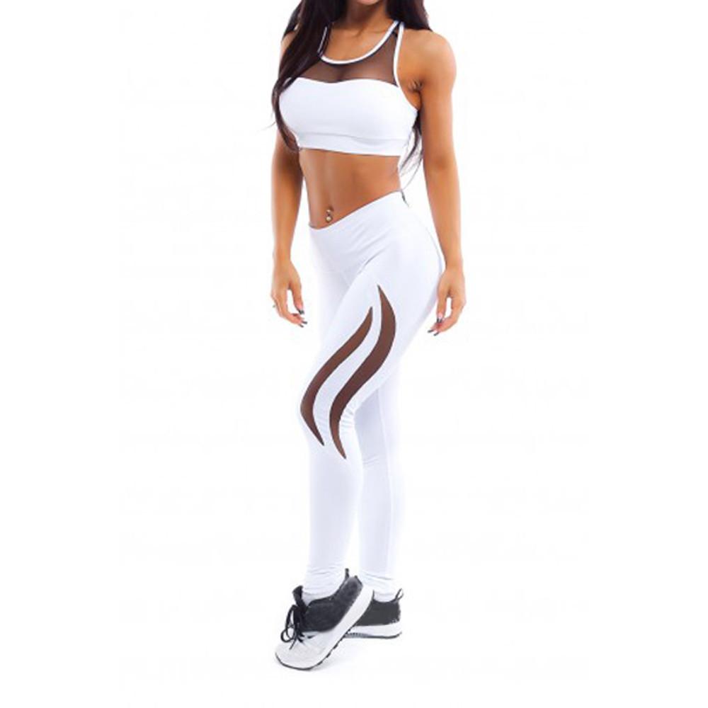 High Waist Wave Meshed Sport Leggings